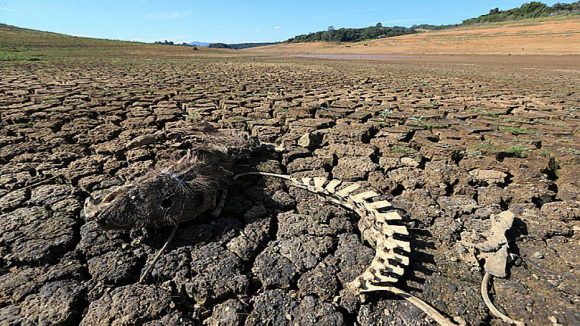 Represa seca no sistema Cantareira, em 2014. Impacto do evento foi maior pelo aumento da vulnerabilidade na região. Crédito: Tiago Queiroz / Estadão