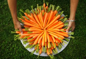 01 Aug 2004, Sweden --- Plate with carrots, Gotland, Sweden --- Image by © Bruno Ehrs/Corbis