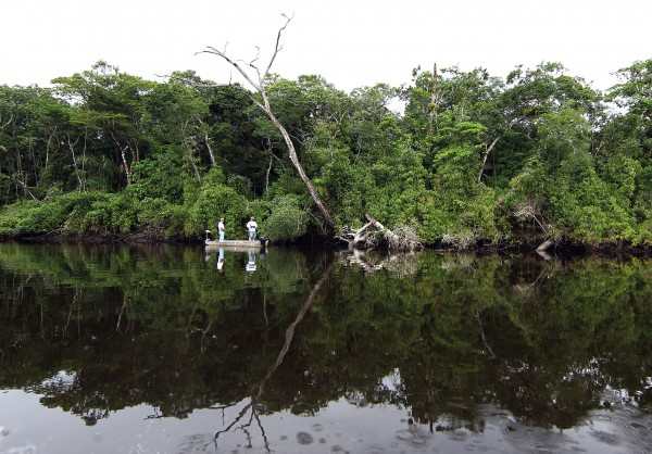 Parque Estadual da Restinga da Bertioga é uma das áreas que podem ser afetadas pela obra. O local abriga 44 espécies de flora ameaçadas de extinção e de 117 espécies de aves, sendo 37 endêmicas. Crédito: JONNE RORIZ/ESTADÃO