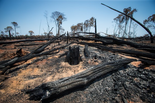 Código Florestal foi criado para frear o desmatamento ilegal, como este no Mato Grosso. CAR é um dos seus principais instrumentos. Crédito: TIAGO QUEIROZ/ESTADÃO