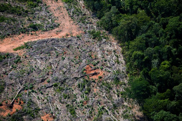 Novo cálculo considera que as emissões de gás carbônico por desmatamento são maiores do que se imaginava antes. Crédito: TIAGO QUEIROZ/ESTADÃO