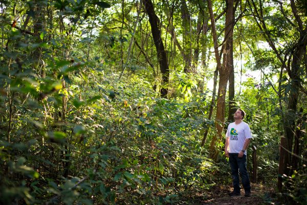 Rafael Bitante Fernandes, gerente de restauração florestalobserva área recuperada no Centro de Experimentos Florestais. Tiago Queiroz / Estadão