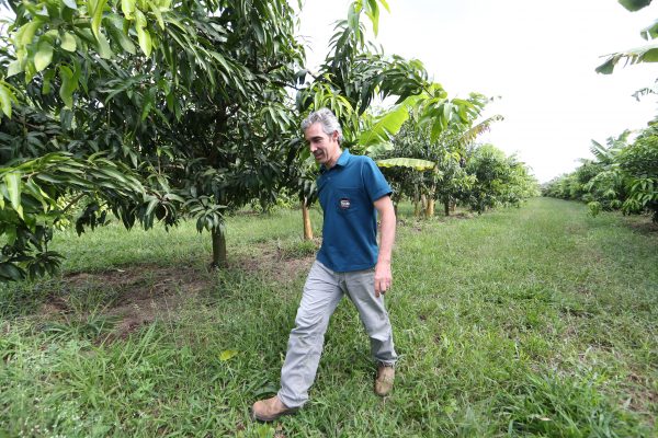 Pedro Paulo Diniz caminha ao lado de linhas com cultivos mistos. Alex Silva / Estadão
