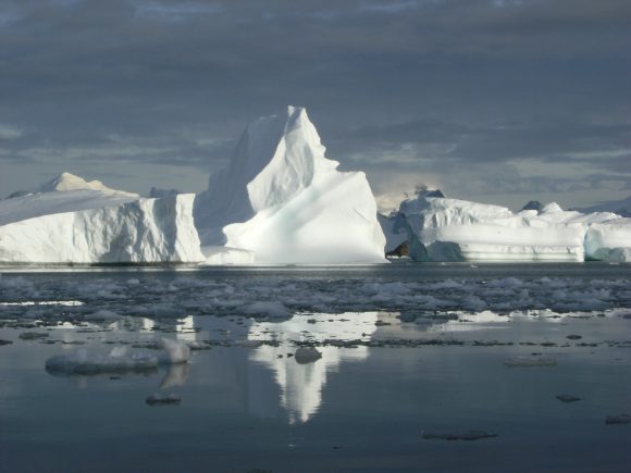 Icebergs recém-criados por geleiras frontais na baía de Marguerite, na porção oeste da Península Antártica. Crédito: Alison Cook