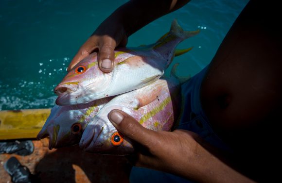 Pesca na região de Abrolhos. Jonne Roriz / Estadão