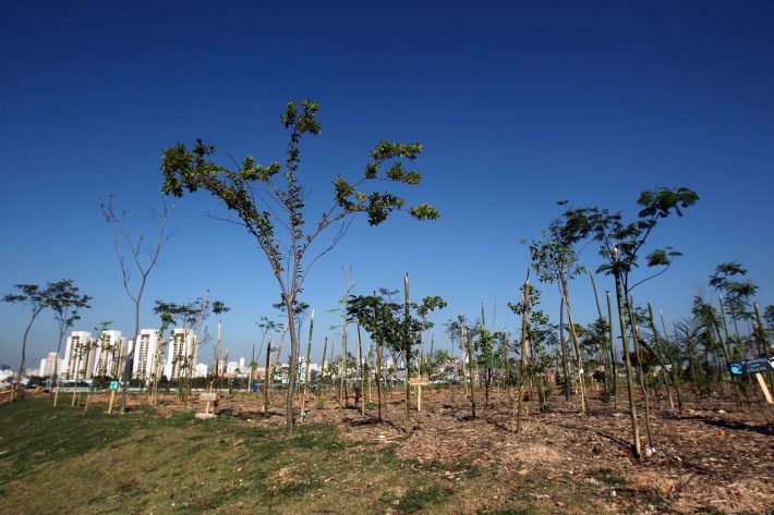 Baixa meta de plantio de árvores também foi alvo de crítica. Crédito: Werther Santana / Estadão
